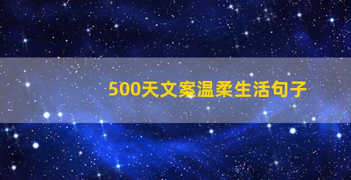 500天文案温柔生活句子